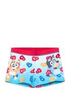 Bluey Swimsuit Multi/patterned