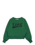 THE ANIMALS OBSERVATORY Shark Kid Sweatshirt Green Grön