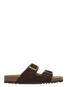 Scholl Sl Julien Suede Brown Brun