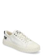 Palladium Palla Ace Lo Surplus Vit