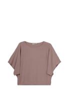 Ivo Nikkolo Short Sleeve Knit, Klea Brun