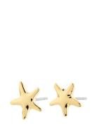 Pilgrim André Earrings Guld