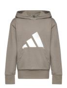 Adidas Sportswear J Bl Ft Hd 280 Brun