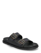 Steve Madden Magnus Slides Svart