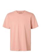 Selected Homme Slhaspen Ss O-Neck Tee Noos Rosa