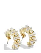 Pieces Fpkikkai Hoop Earrings Plated Guld