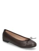 Bianco Biamadison Ballerina Smooth Leather Brun