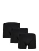 Claudio Claudio 3-Pack Tights Svart