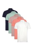 Hollister Hco. Guys Knits Multi/patterned