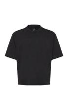 Hollister Hco. Guys Knits Svart