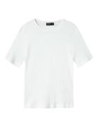LMTD Nlfninusa Ss Short Top Vit