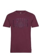 Levi's® Graphic Crewneck Tee Applique Burgundy