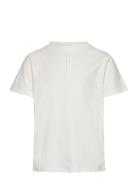 Mango T-Shirt .-- Pani8 Vit