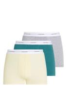 Calvin Klein Trunk 3Pk Multi/patterned