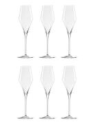 Stölzle Lausitz Champagneglas Quatrophil 29Cl. 6 Stk Nude