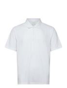 Calvin Klein Ss Stripe Strech Jacquard Polo Vit