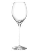 Orrefors More Champagne Boule Glas 31Cl 2-Pack Nude