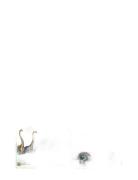Educa Educa 2X100 Dino World Multi/patterned