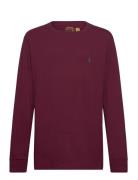 Ralph Lauren Kids Cotton Jersey Long-Sleeve Tee Burgundy