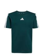 Adidas Sportswear J 3S Tee 160 Grön