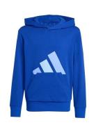 Adidas Sportswear J Bl Ft Hd 280 Blå