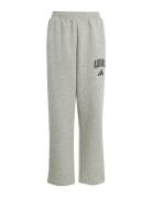 Adidas Sportswear J Clgt Fl Pnt Grå