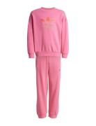 Adidas Originals Crew Set Rosa