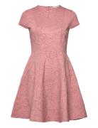 Ted Baker London Clodaa Rosa