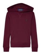 Ralph Lauren Kids Seasonal Fleece-Ls Po Hood-Tp-Knt Burgundy