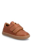 Kavat Södertälje Brun