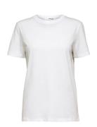Selected Slfmyessential Ss O-Neck Tee Noos Vit