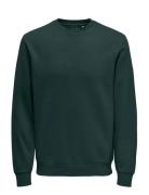 ONLY & SONS Onsceres Crew Neck Noos Khaki Green