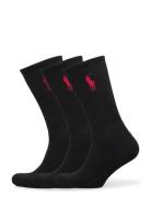 Polo Ralph Lauren Big Pony Crew Sock 3-Pack Svart