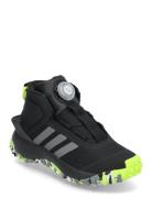 Adidas Sportswear Fortatrail Boa K Svart