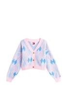 Tommy Jeans Tjw Crop Argyle Cardigan Multi/patterned