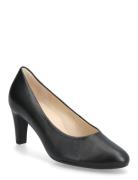 Gabor Pumps Svart