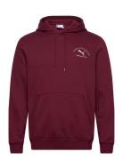 PUMA Puma Class Graphic Hoodie Fl Burgundy