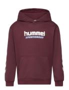 Hummel Hmljr Logo Hoodie Burgundy