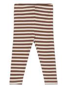 The New Tnsbfro Rib Leggings Brun