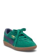 PUMA Palermo Ps Grön