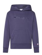 Champion Hooded Sweatshirt Blå