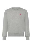 Levi's Fw-Crew Grå