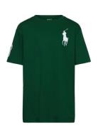 Ralph Lauren Kids 26/1 Jersey-Ss Cn-Tp-Tsh Grön