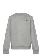 Levi's Fw-Crew Grå