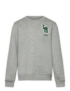 Levi's Fw-Crew Grå