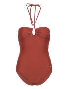 GANT Swimsuit Brun