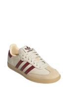 Adidas Originals Samba Og J Kräm
