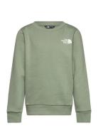 The North Face Teen Simple Dome Crew Grön