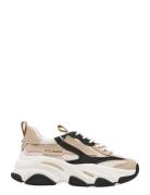 Steve Madden Possession-E Multi/patterned