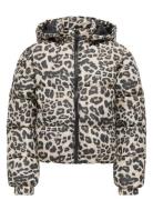 Kids Only Kogdalia Sht Puffer Aop Jacket Otw Noos Multi/patterned